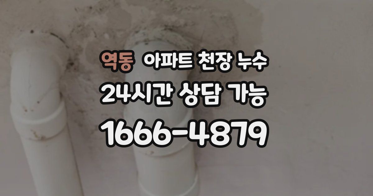 역동 아파트 천장 누수