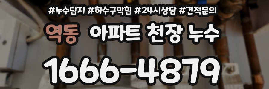 역동 아파트 천장 누수