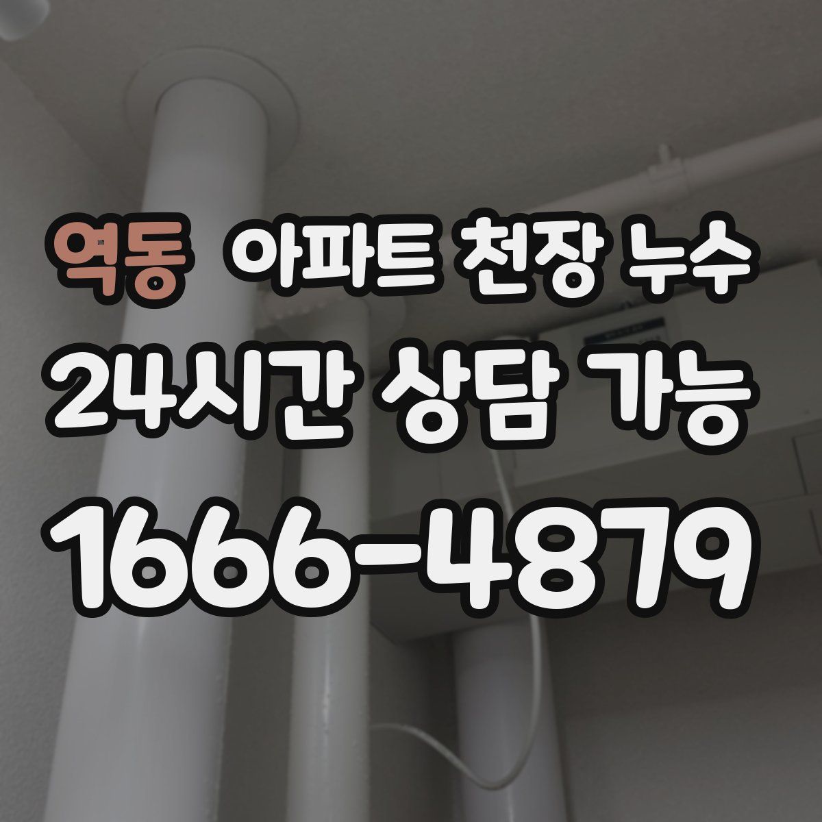 역동 아파트 천장 누수