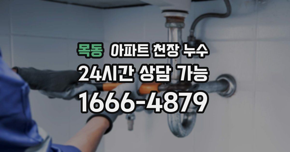 목동 아파트 천장 누수