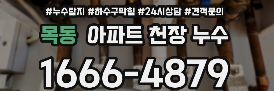 목동 아파트 천장 누수