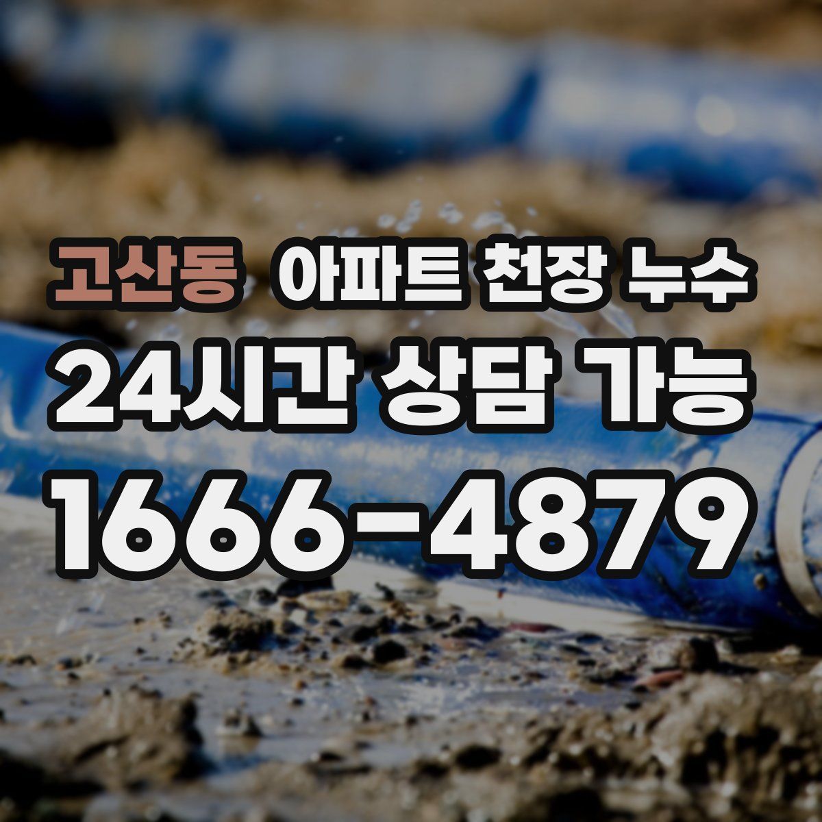 고산동 아파트 천장 누수