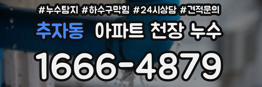 추자동 아파트 천장 누수