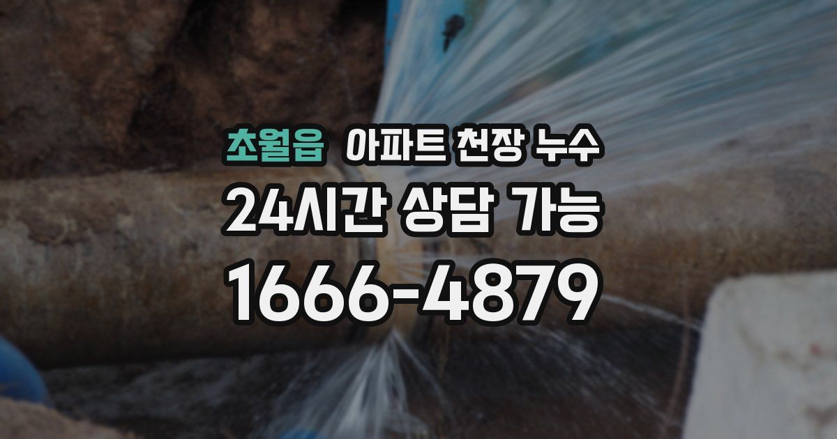 초월읍 아파트 천장 누수