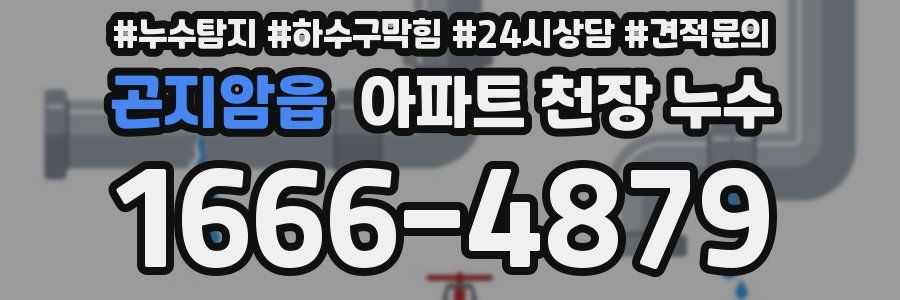 곤지암읍 아파트 천장 누수