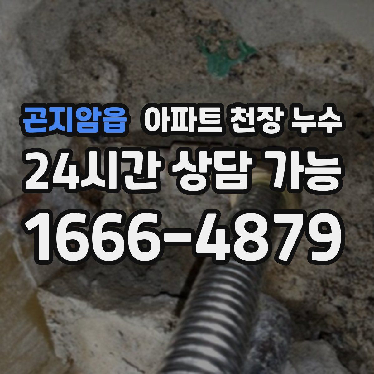 곤지암읍 아파트 천장 누수