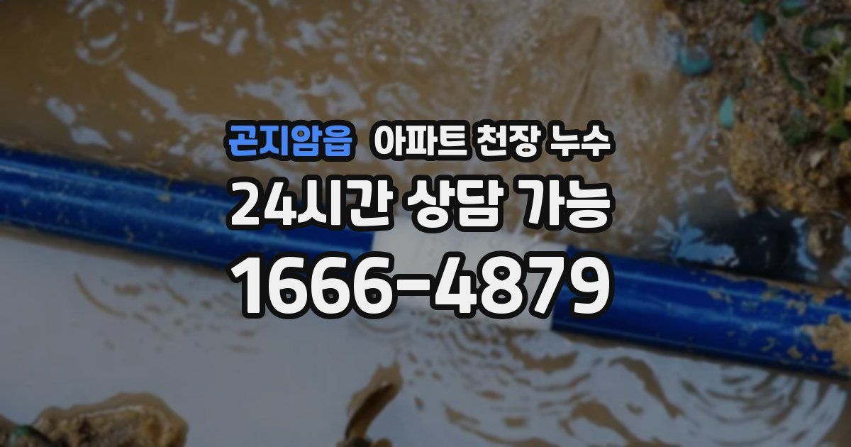 곤지암읍 아파트 천장 누수