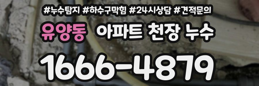 유양동 아파트 천장 누수