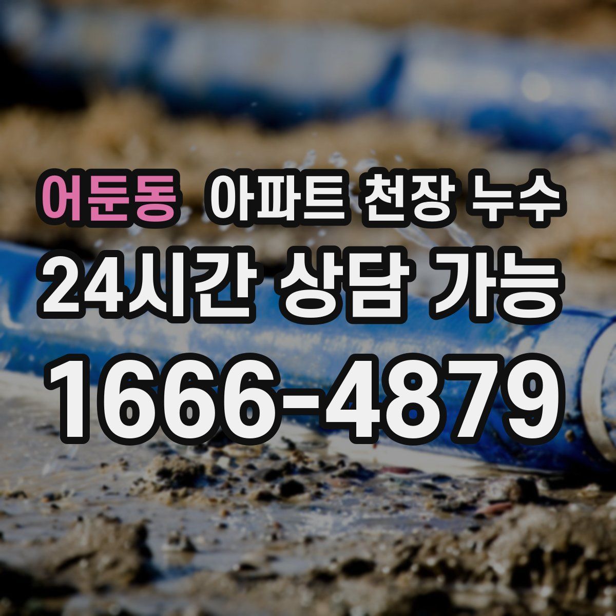 어둔동 아파트 천장 누수