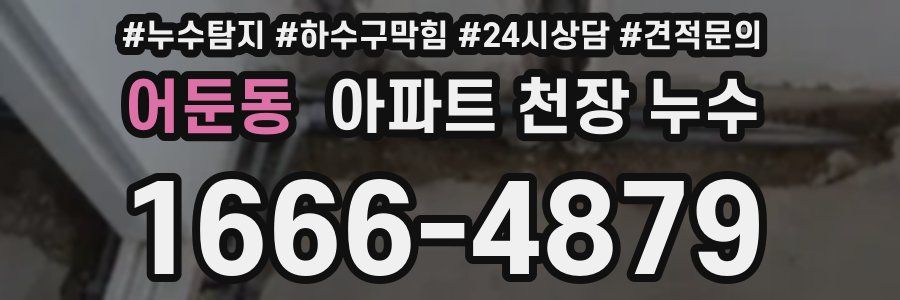 어둔동 아파트 천장 누수