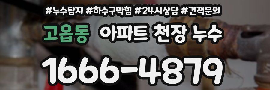 고읍동 아파트 천장 누수