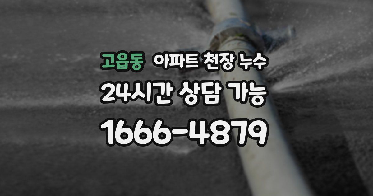 고읍동 아파트 천장 누수