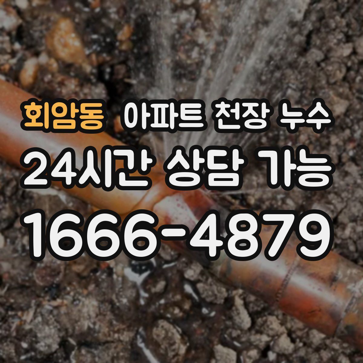 회암동 아파트 천장 누수