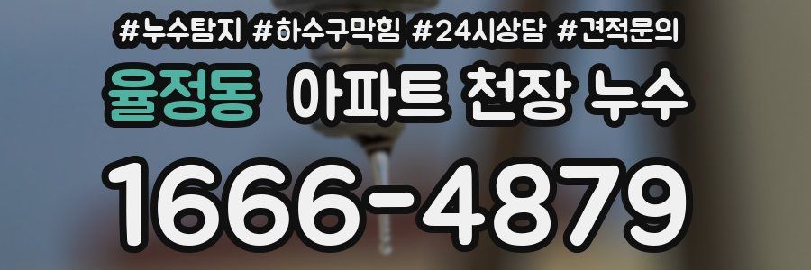 율정동 아파트 천장 누수