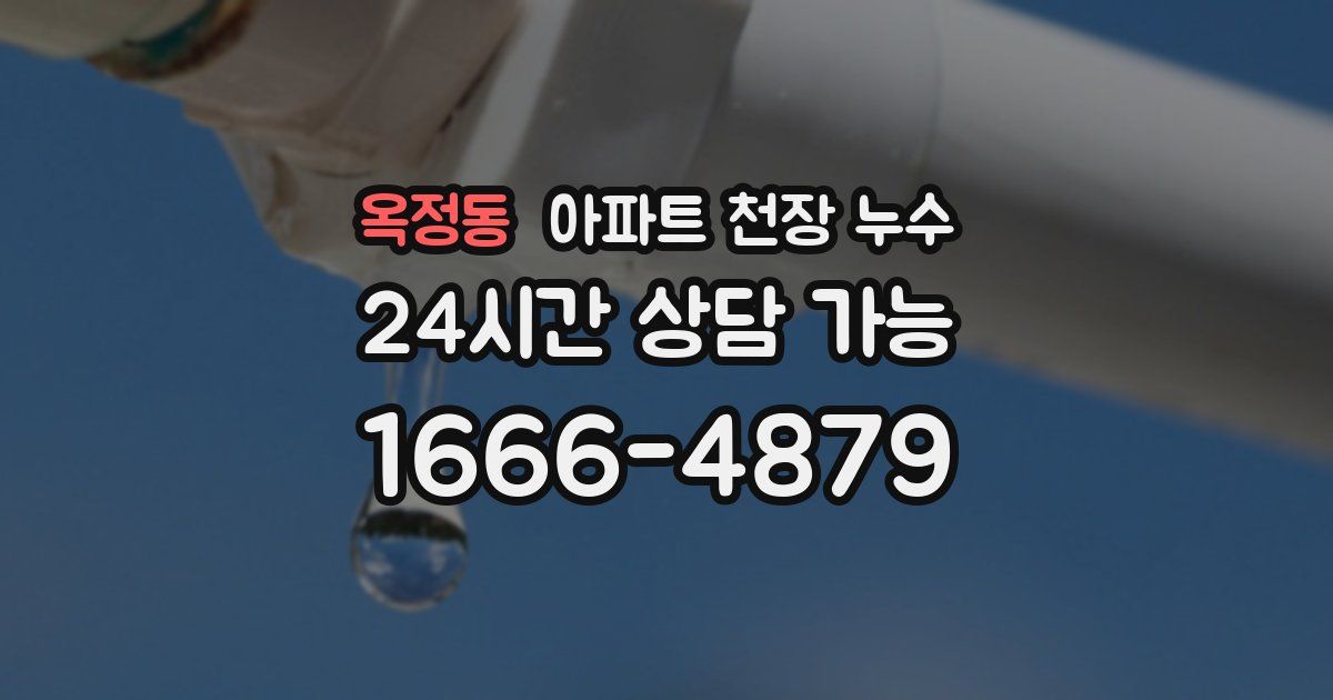 옥정동 아파트 천장 누수
