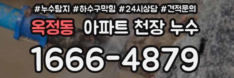 옥정동 아파트 천장 누수