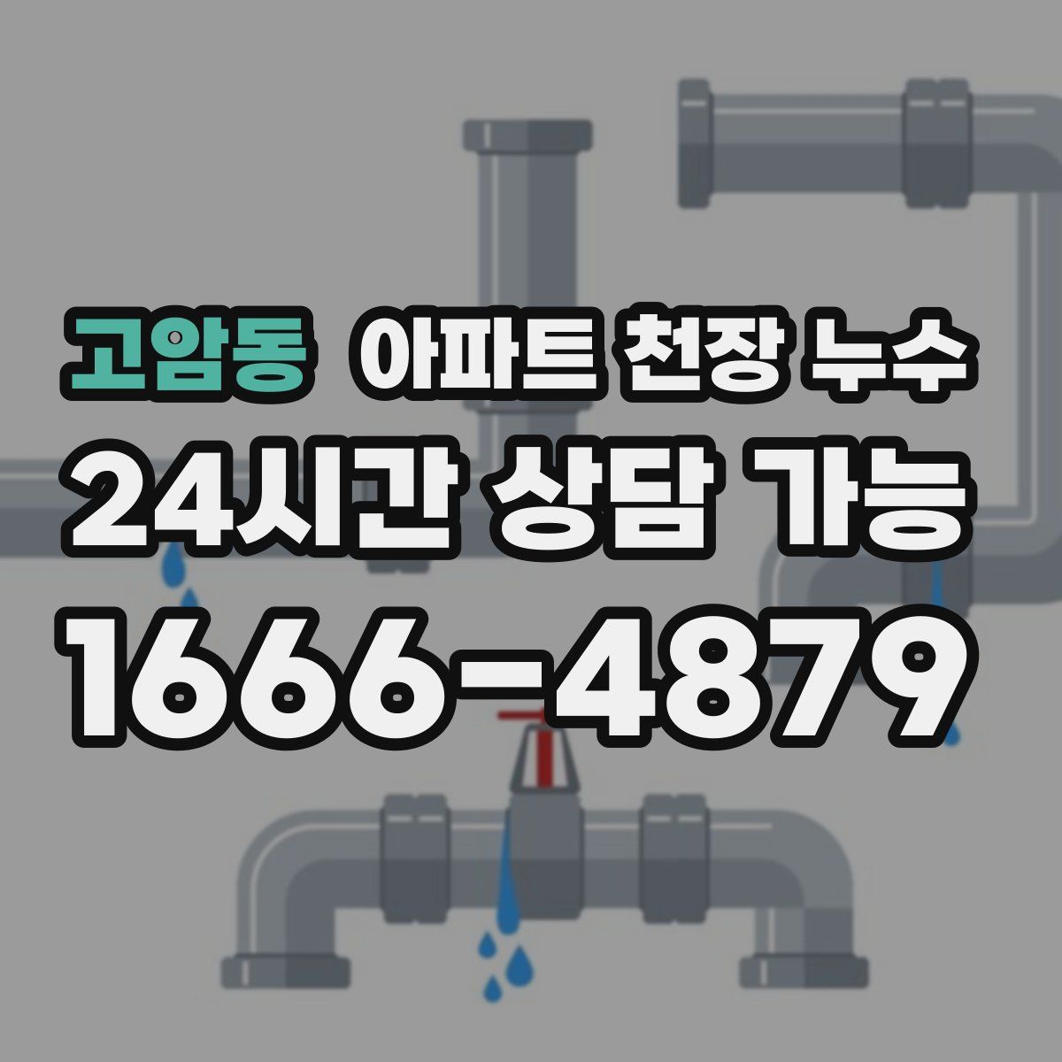 고암동 아파트 천장 누수