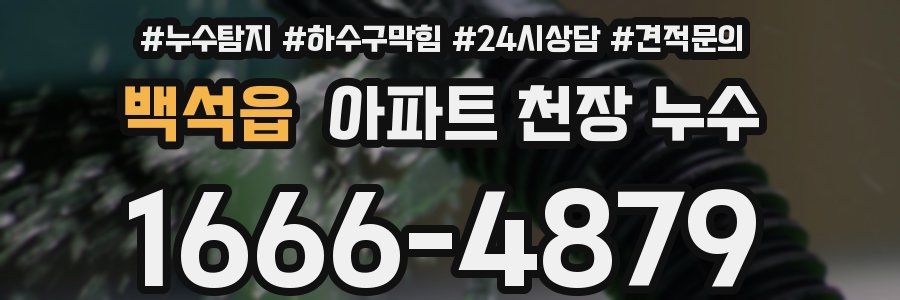 백석읍 아파트 천장 누수