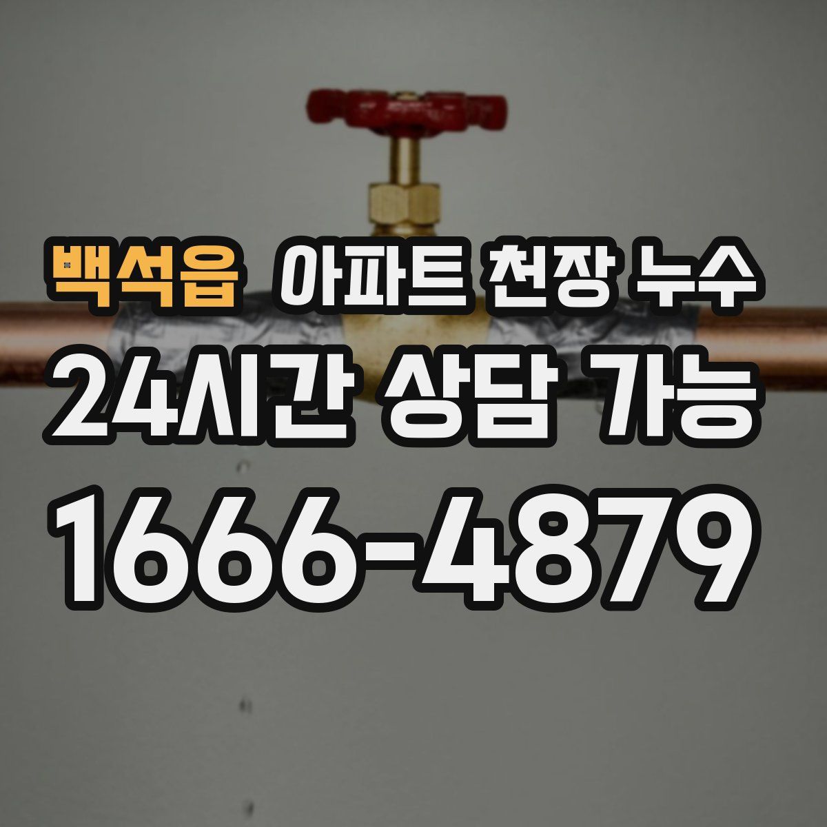 백석읍 아파트 천장 누수