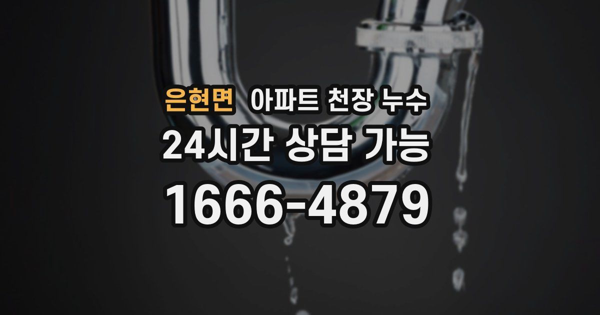 은현면 아파트 천장 누수