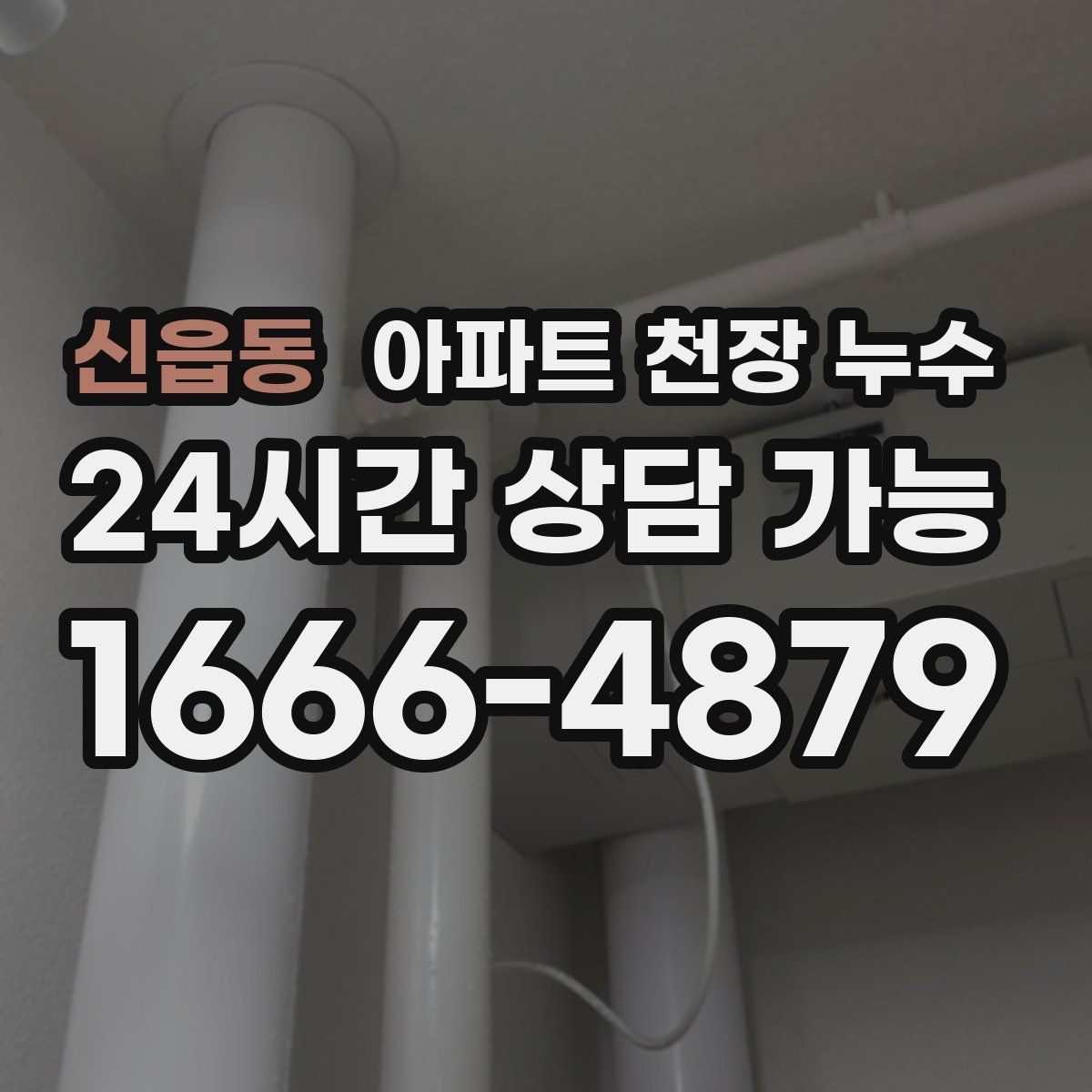 신읍동 아파트 천장 누수