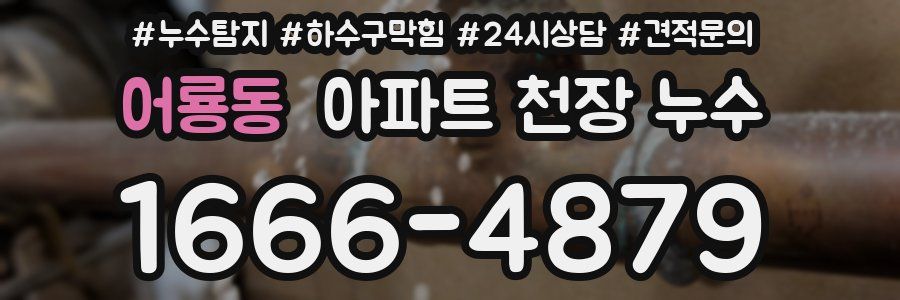 어룡동 아파트 천장 누수