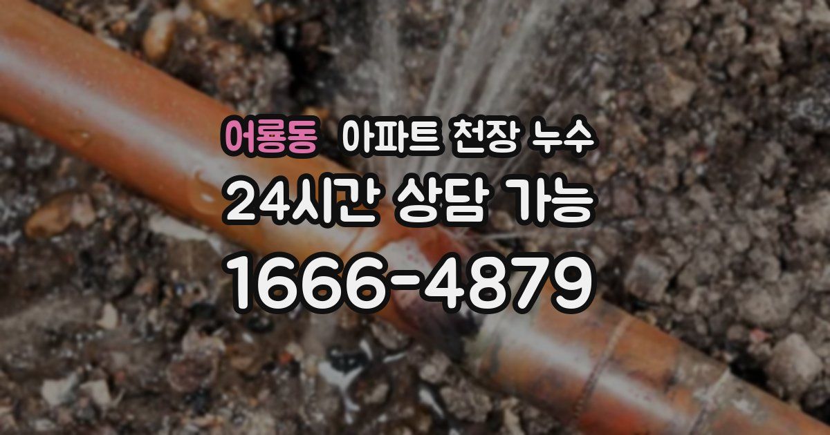 어룡동 아파트 천장 누수