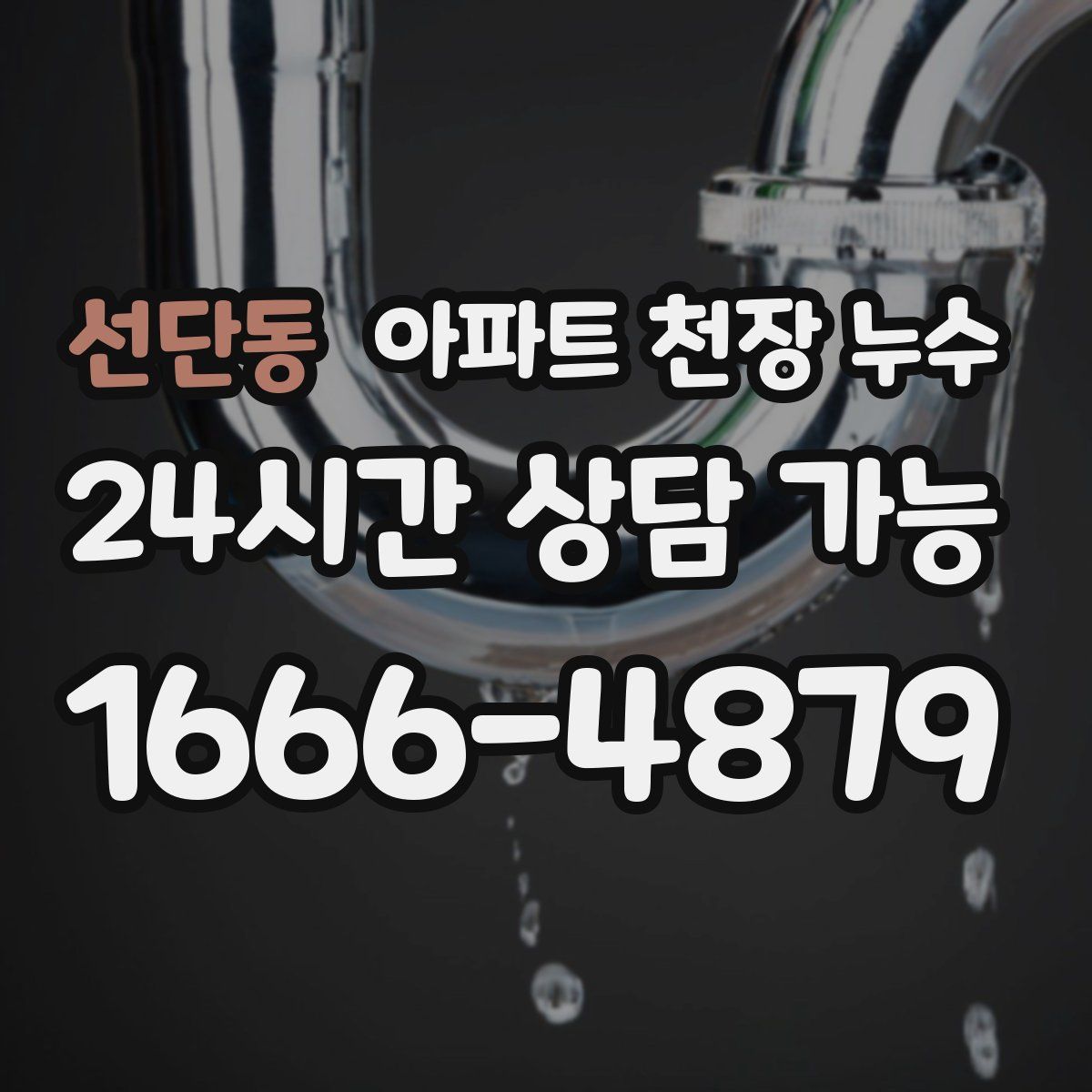 선단동 아파트 천장 누수