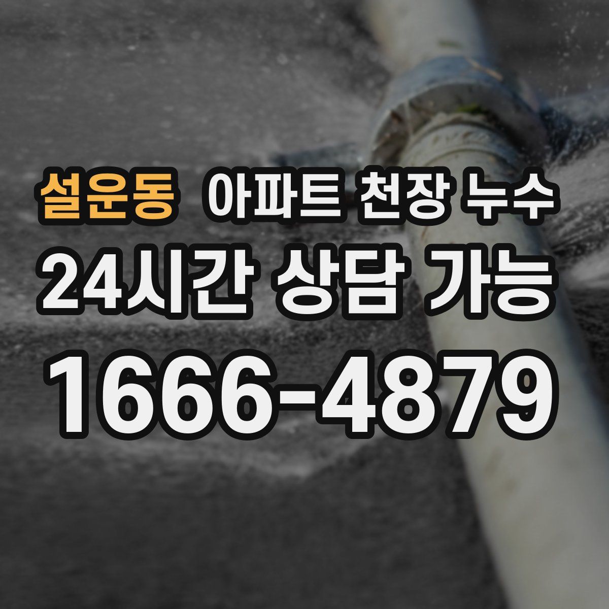설운동 아파트 천장 누수