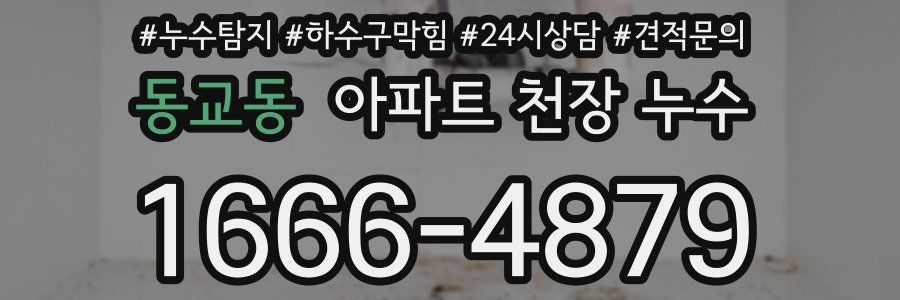 동교동 아파트 천장 누수