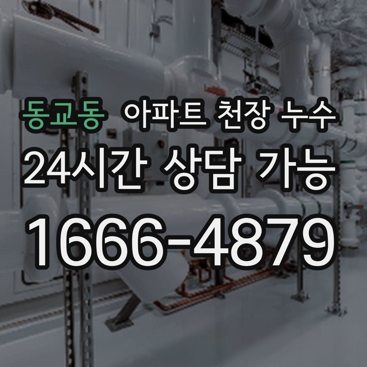 동교동 아파트 천장 누수