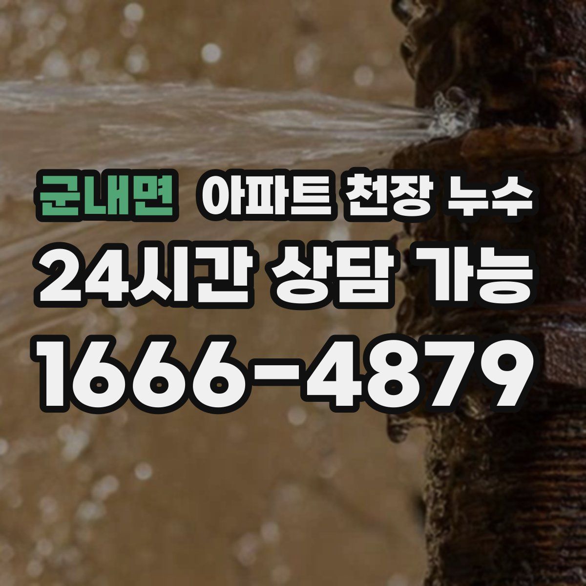 군내면 아파트 천장 누수