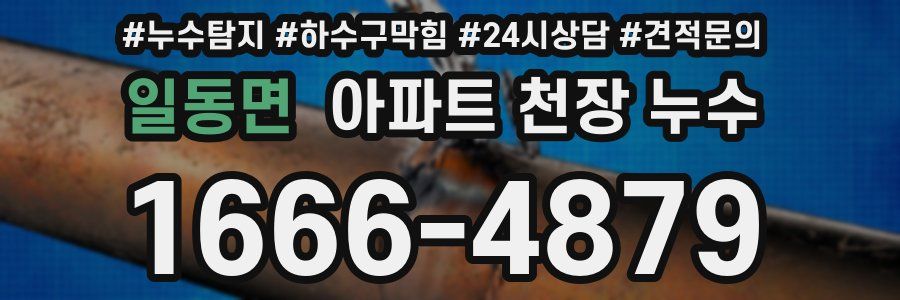 일동면 아파트 천장 누수