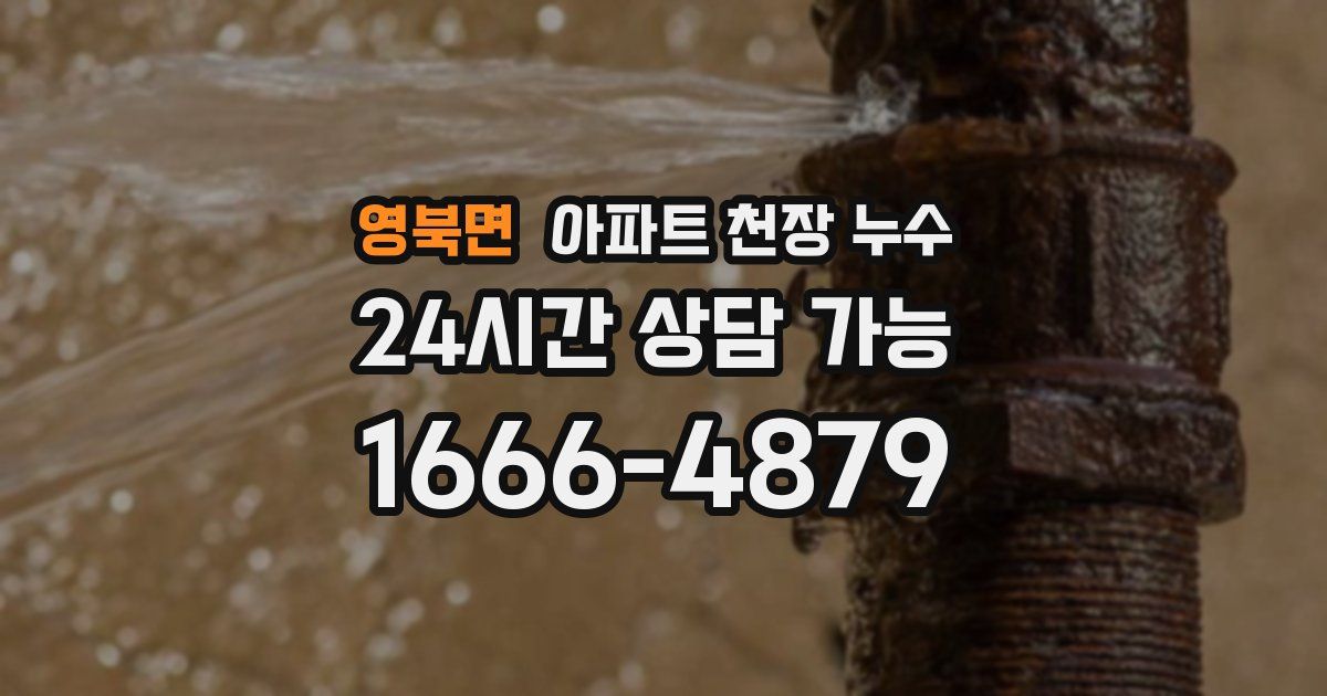 영북면 아파트 천장 누수