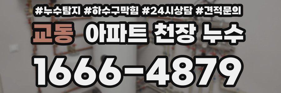 교동 아파트 천장 누수