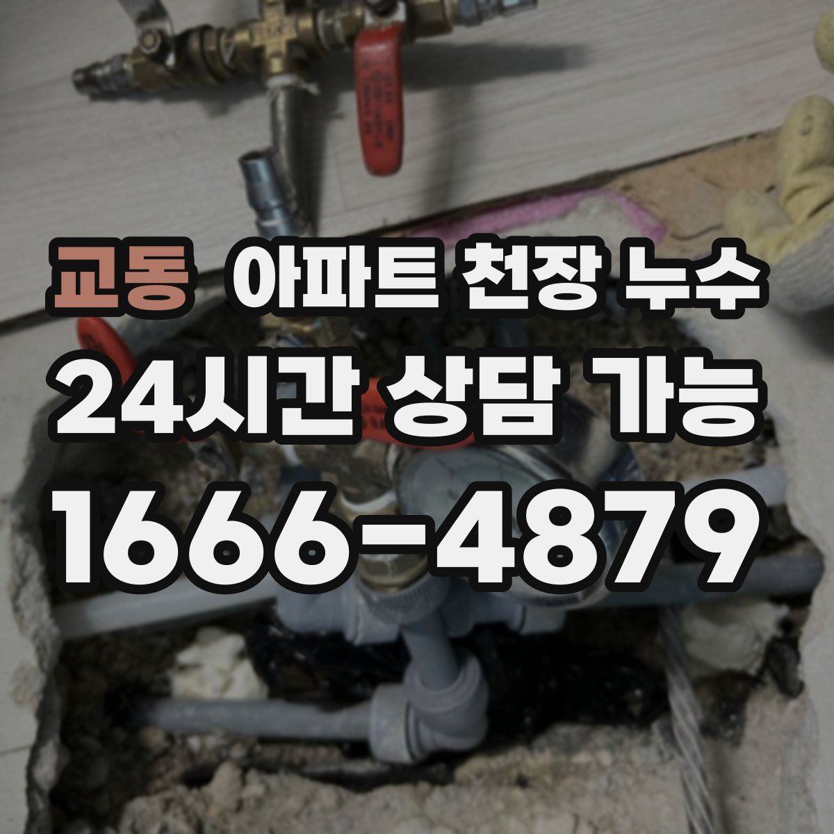 교동 아파트 천장 누수