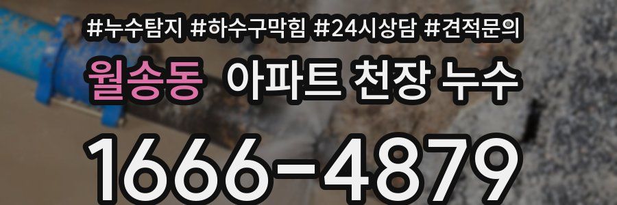 월송동 아파트 천장 누수