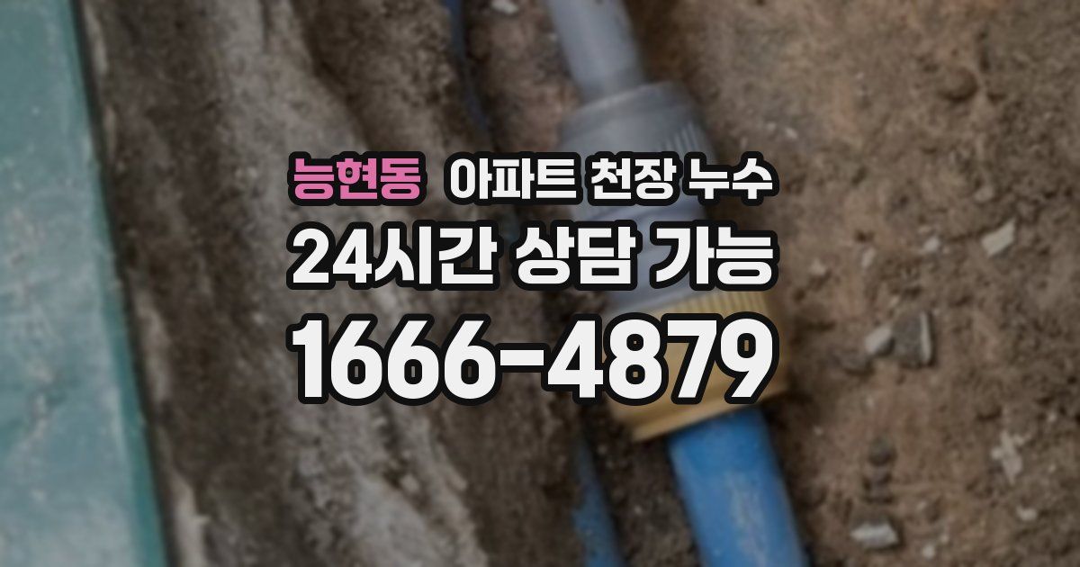 능현동 아파트 천장 누수