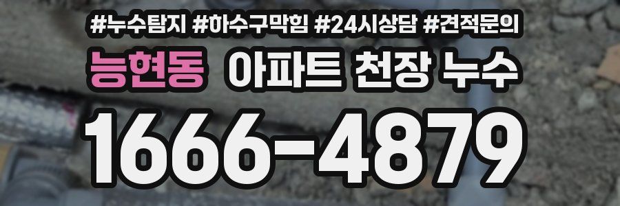 능현동 아파트 천장 누수