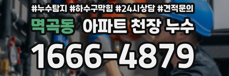 멱곡동 아파트 천장 누수