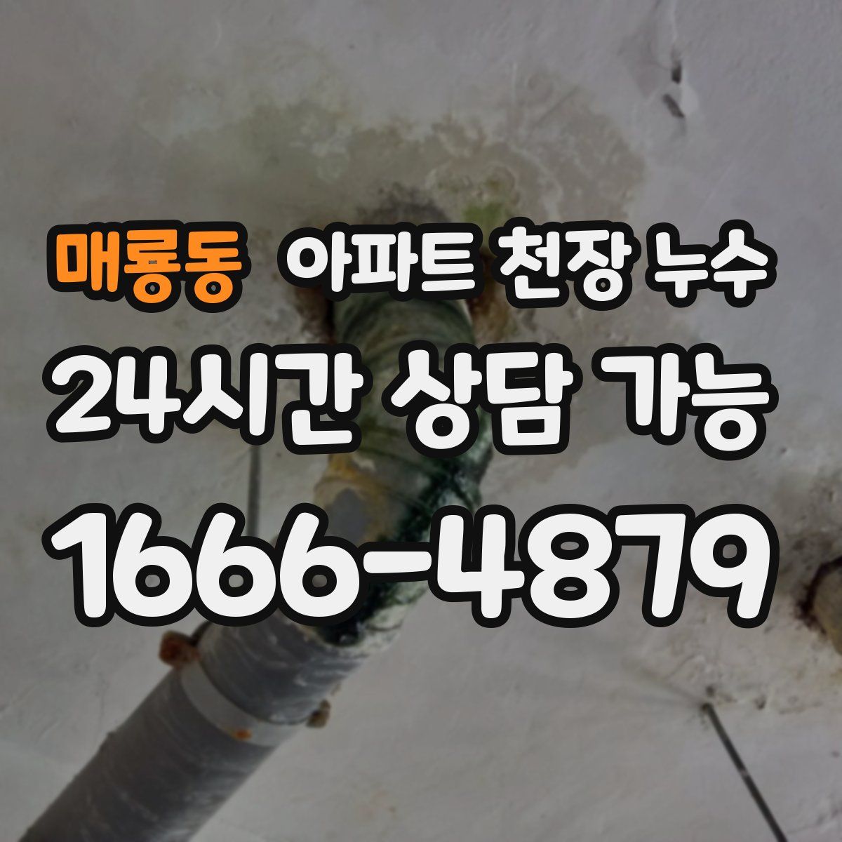 매룡동 아파트 천장 누수