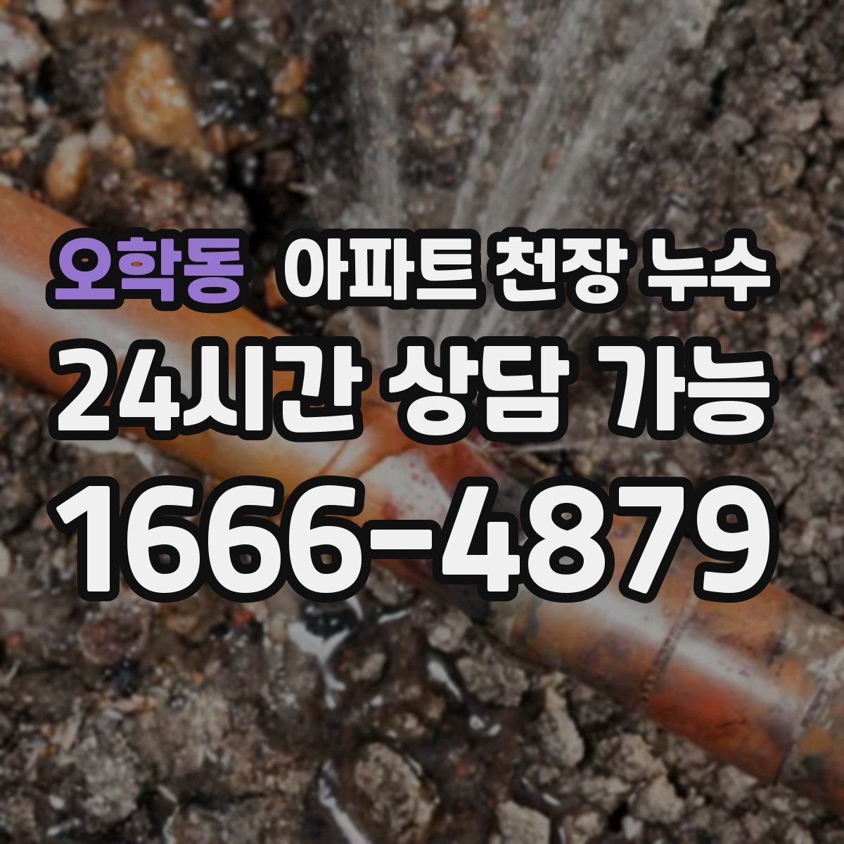 오학동 아파트 천장 누수
