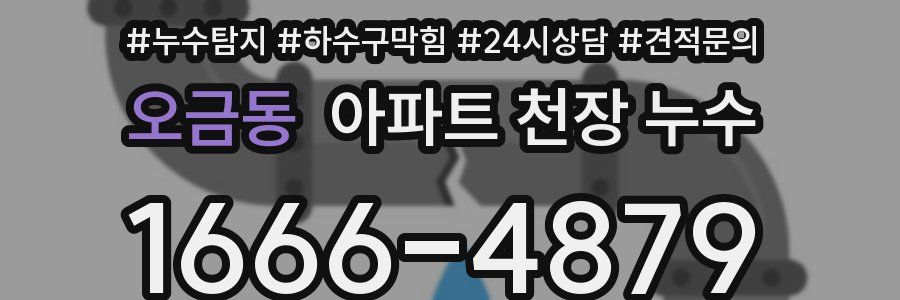 오금동 아파트 천장 누수