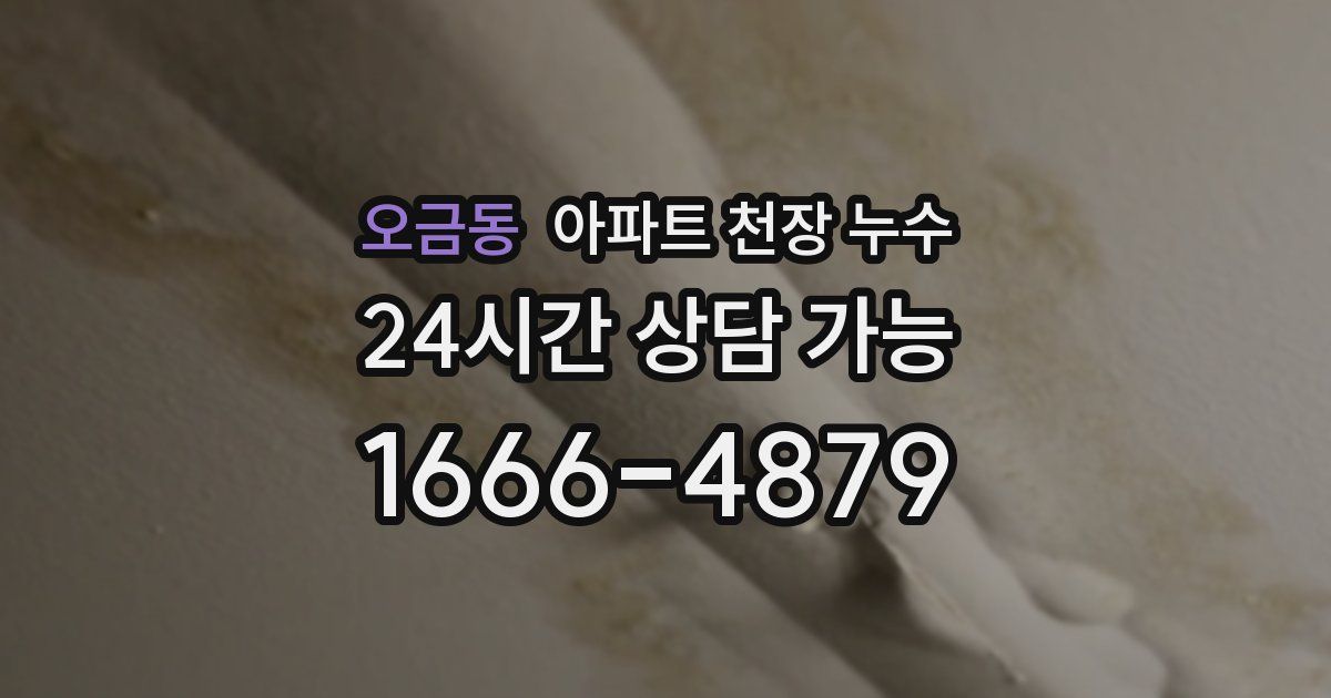 오금동 아파트 천장 누수