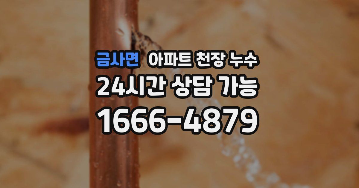 금사면 아파트 천장 누수