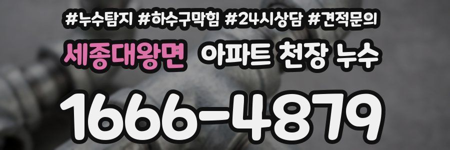 세종대왕면 아파트 천장 누수