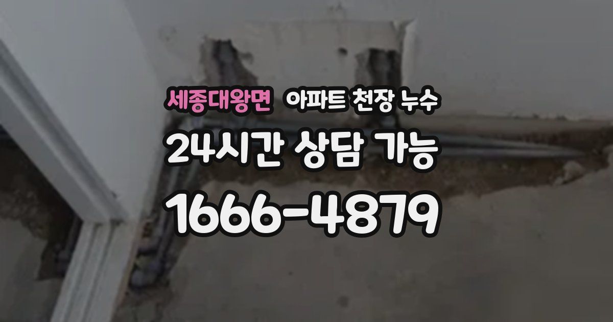 세종대왕면 아파트 천장 누수