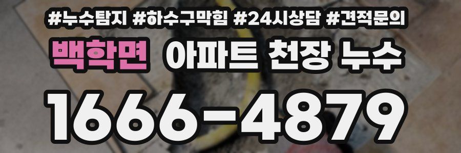 백학면 아파트 천장 누수