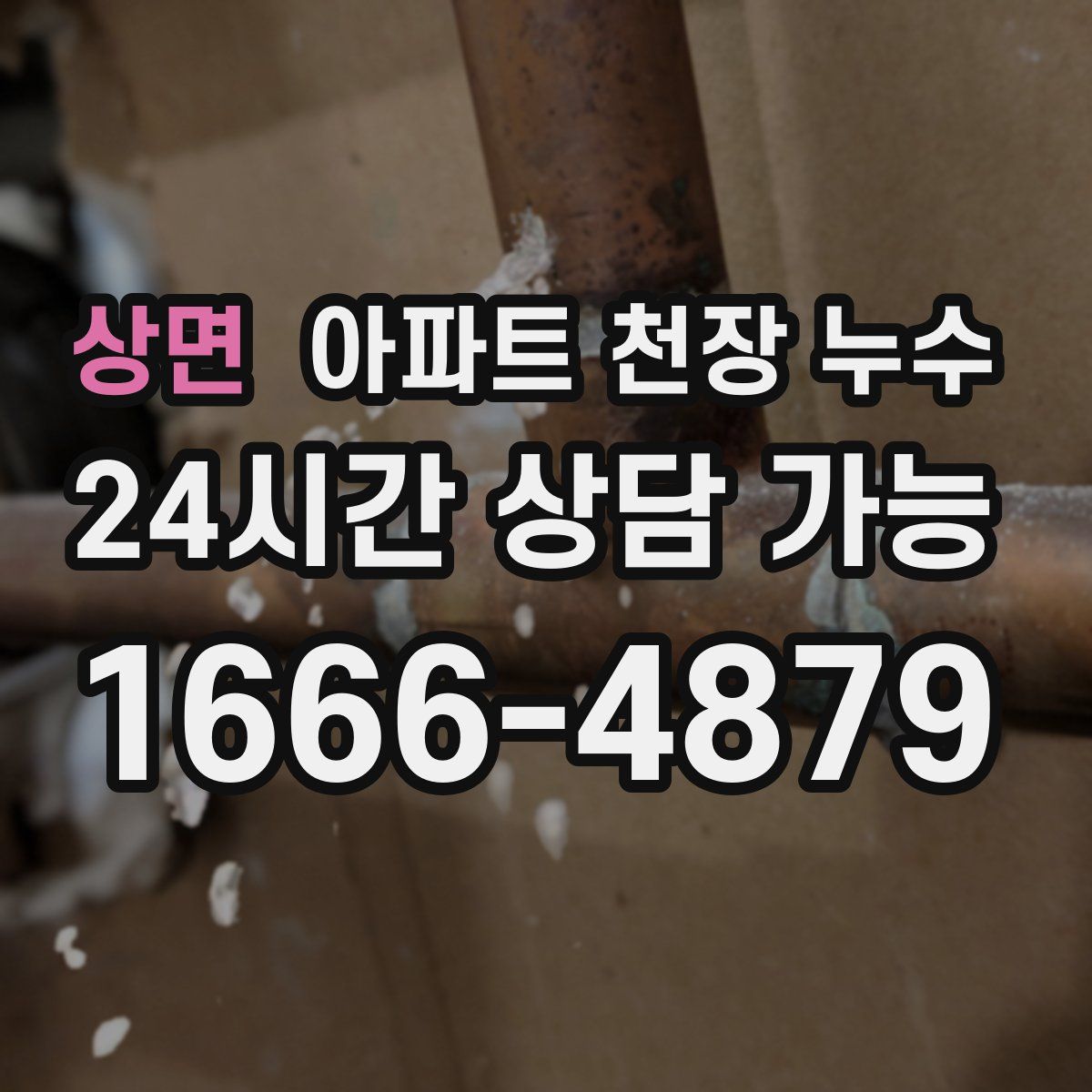 상면 아파트 천장 누수