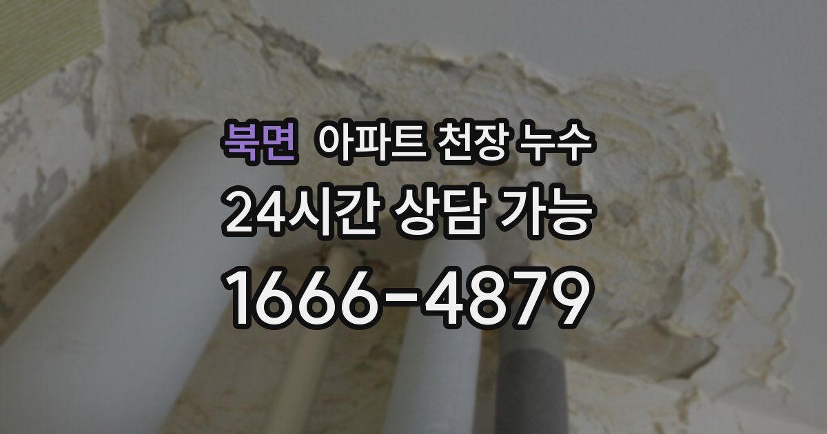 북면 아파트 천장 누수